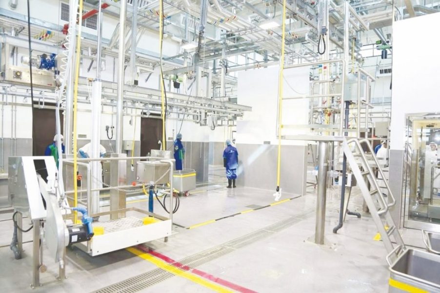 بلدية مدينة العين تعزز منظومة الصحة العامة خلال 2025