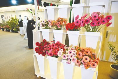 “الوثبة للزهور” منصة للابتكار الزراعي في مهرجان الشيخ زايد
