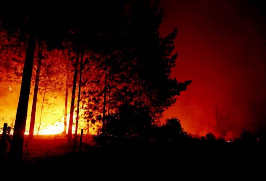 حرائق غابات شديدة في تشيلي تسفر عن مقتل 20 شخصاً