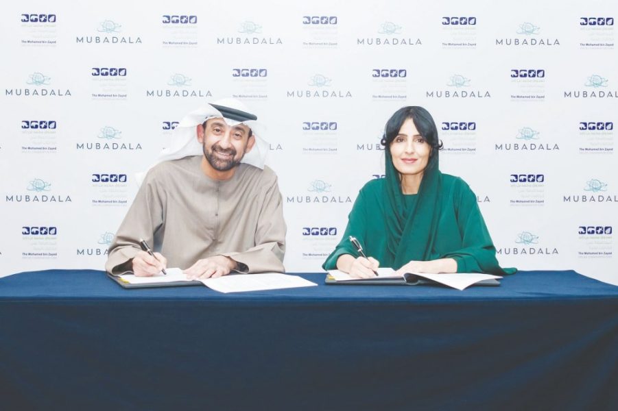 صندوق محمد بن زايد للمحافظة على الكائنات الحية ومبادلة يطلقان مبادرة دولية لحماية أبقار البحر والأعشاب البحرية