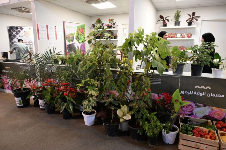 “الوثبة للزهور” يحتفي برواد الابتكار الزراعي