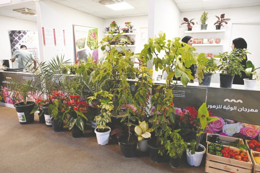 اختتام فعاليات مهرجان الوثبة للزهور في أبوظبي