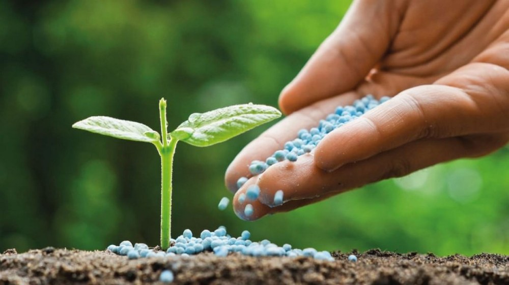 باحثو جامعة خليفة يتوصلون لطريقة لتحويل التربة الرملية إلى أرض خصبة