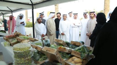 انطلاق الموسم الثاني من مهرجان “حصاد مزارعنا” في أم القيوين