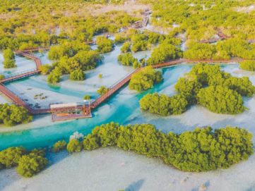 “بيئة أبوظبي” و”طاقة” تتعاونان لحماية التنوع البيولوجي