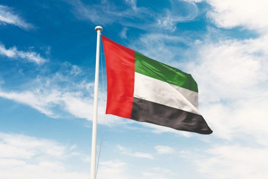 الإمارات تدين المخطط الإرهابي التخريبي الذي استهدف دولة الكويت الشقيقة