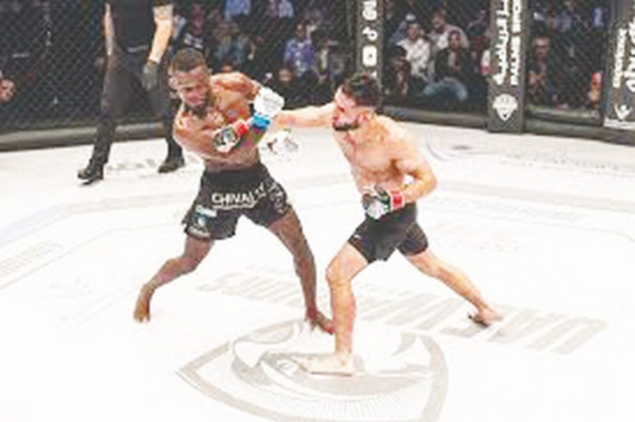 “محاربي الإمارات” تعود للعين  بنسختين عربية ودولية  وصراع على 3 ألقاب