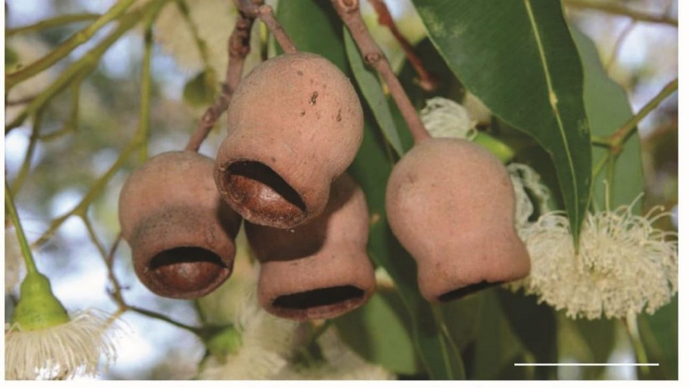 جامعة نيويورك أبوظبي تنجز دراسة بحثية لتطوير مواد مبتكرة مقاومة للصدمات