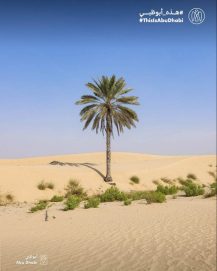 #هذه_أبوظبي بعدسة محمد بن جاسم