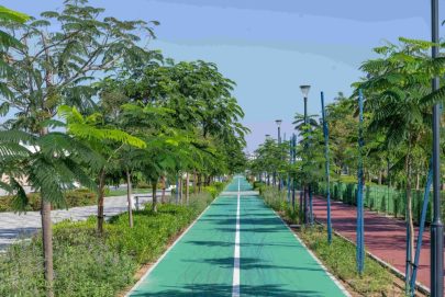 بلدية مدينة أبوظبي تزرع 5000 شجرة جديدة خلال 2026 لتعزيز الاستدامة