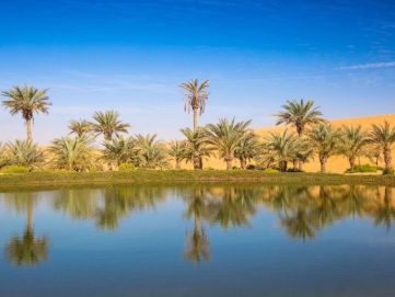 اليوم العالمي للبيئة 2026.. أبوظبي تقود صياغة الحلول البيئية عبر الابتكار العلمي