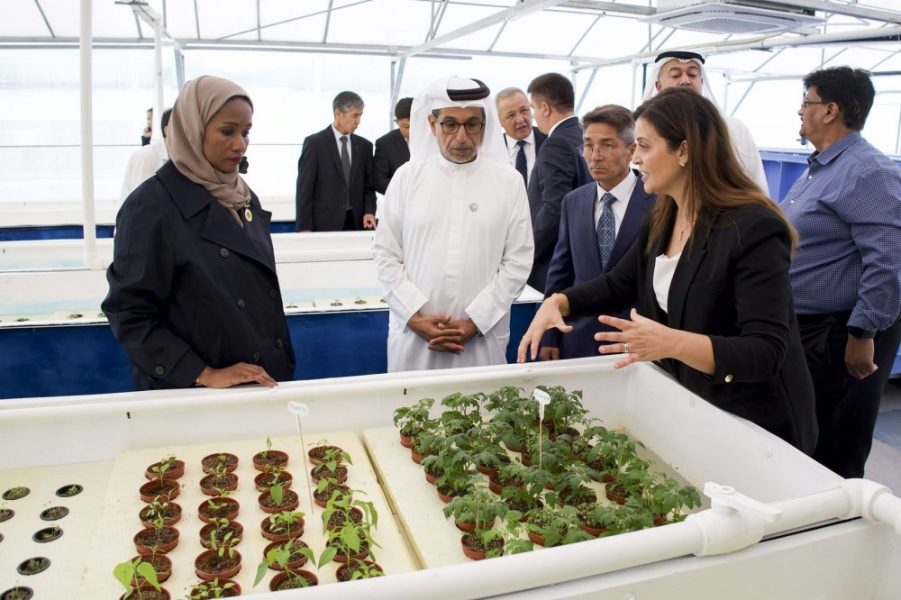 “أبوظبي للتنمية” شريك عالمي فاعل في تعزيز جهود التنمية عبر مشروع رائد في كاراكالباكستان