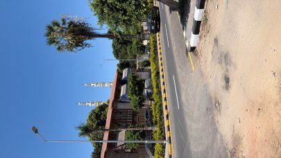 دانوب العقارية تعلن تسليم 11 مشروعاً في دبي خلال الأشهر الـ12 المقبلة