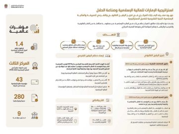 بـ 1.4 تريليون درهم أصولا و43 مؤسسة.. الإمارات ترسخ مكانتها مركزاً عالمياً للمالية الإسلامية وصناعة الحلال