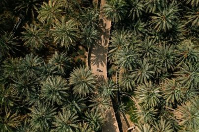 “ثقافة وسياحة أبوظبي” تفتح باب التقديم لبرنامج LanD 2027
