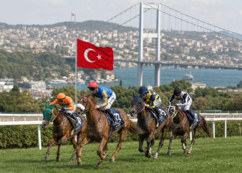 9 خيول تتنافس غدا على لقب كأس رئيس الدولة للخيول العربية في اسطنبول