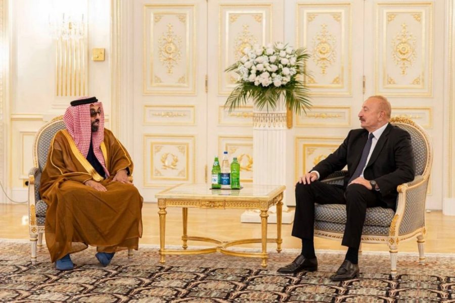 طحنون بن زايد والرئيس الأذربيجاني يبحثان علاقات الصداقة والشراكة الاستراتيجية