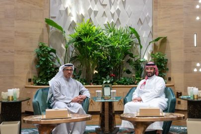 منصور بن زايد وولي عهد السعودية يبحثان العلاقات الأخوية