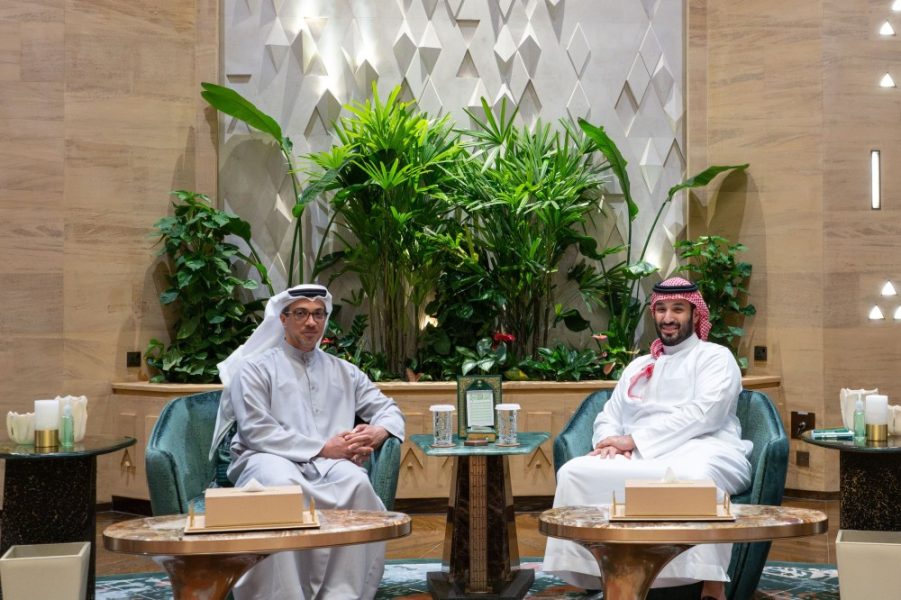 منصور بن زايد وولي عهد السعودية يبحثان العلاقات الأخوية