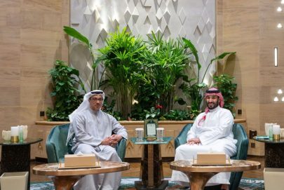 منصور بن زايد وولي عهد السعودية يبحثان العلاقات الأخوية بين البلدين الشقيقين