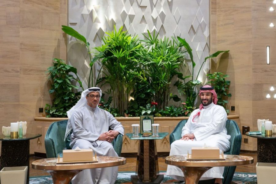 منصور بن زايد وولي عهد السعودية يبحثان العلاقات الأخوية بين البلدين الشقيقين