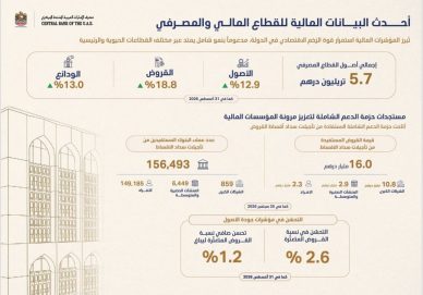 محافظ المصرف المركزي يلتقي الرؤساء التنفيذيين للبنوك العاملة في الدولة ويستعرض أداء القطاع