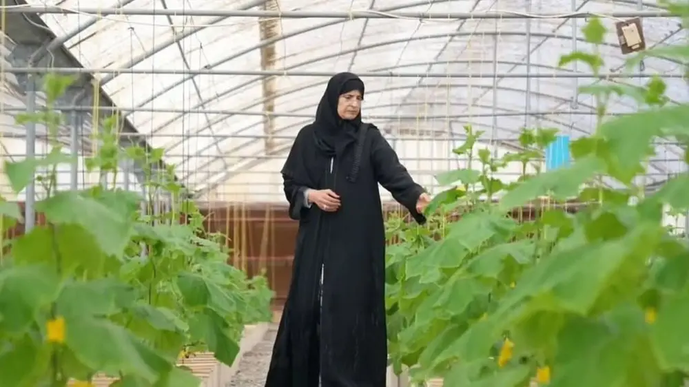 الفاو” تختار الإماراتية خديجة القبيسي ضمن مبادرتها العالمية لتقدير 100 مزارعة حول العالم