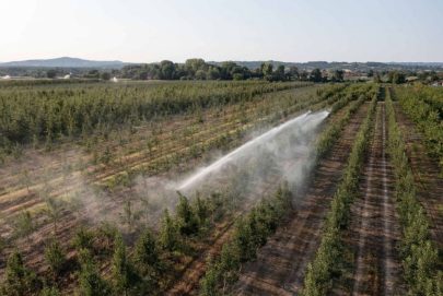 صندوق أبوظبي للتنمية يعزز الأمن المائي للقطاع الزراعي في صربيا