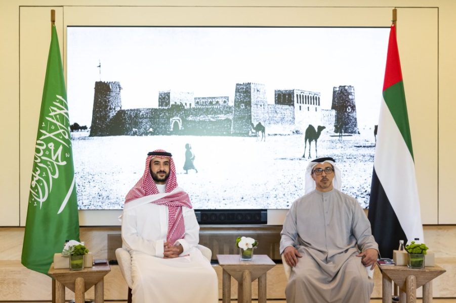 منصور بن زايد يلتقي خالد بن سلمان